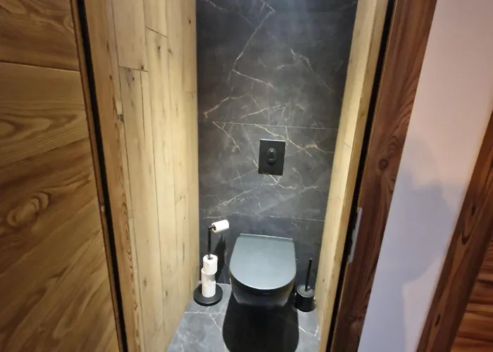 Apartment Le Petit Vosgien *